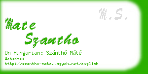 mate szantho business card