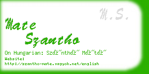 mate szantho business card